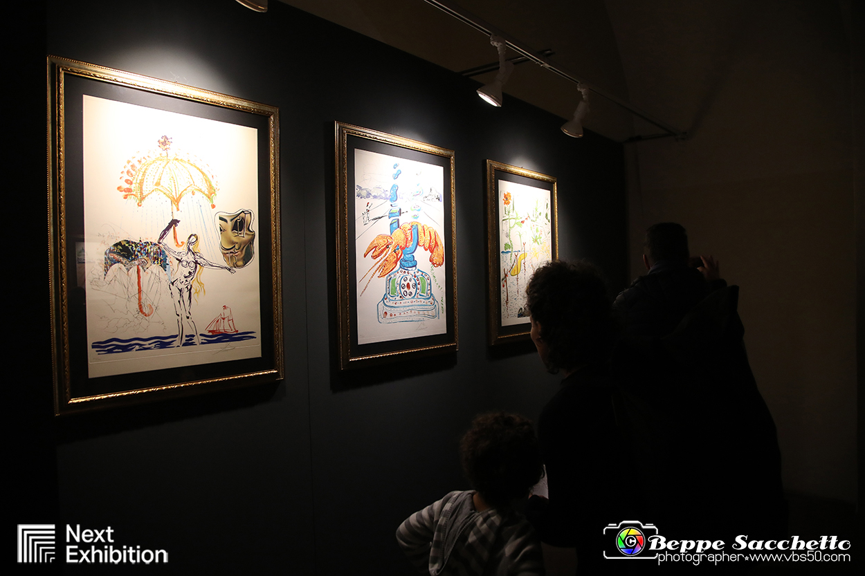VBS_7805 - Salvador Dalì - The Exhibition.jpg